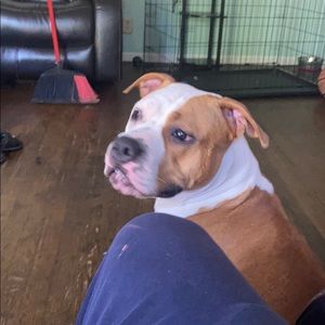 Meet your Posher, Rafael